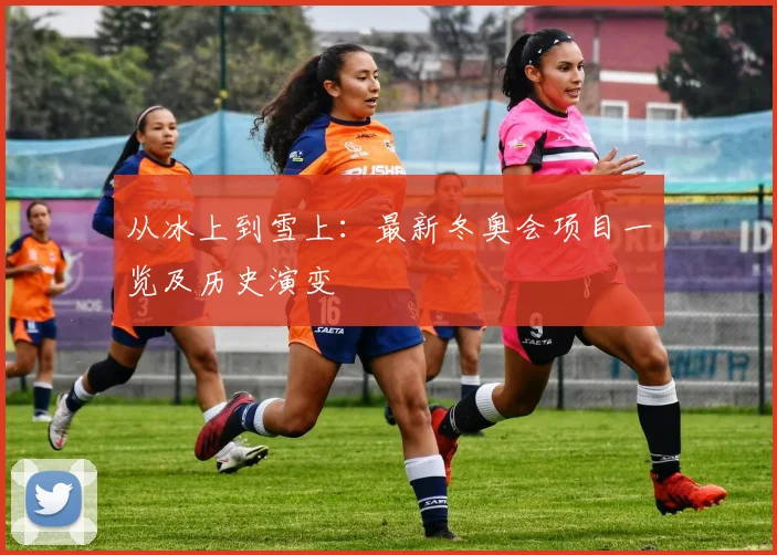 从冰上到雪上:最新冬奥会项目一览及历史演变