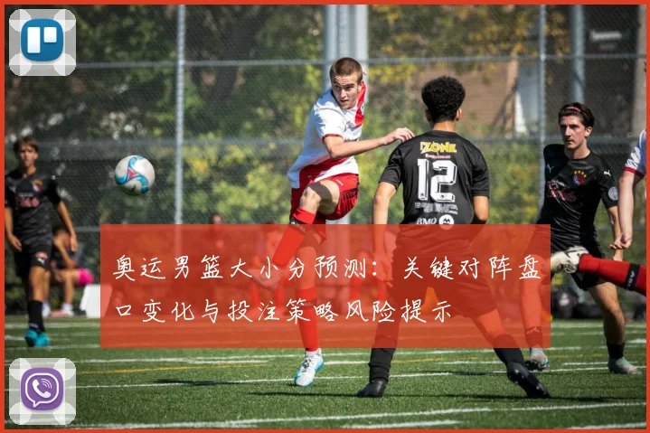 奥运男篮大小分预测:关键对阵盘口变化与投注策略风险提示