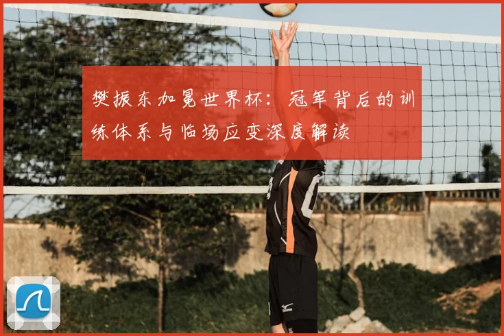 樊振东加冕世界杯：冠军背后的训练体系与临场应变深度解读