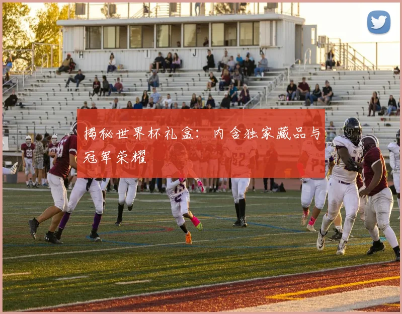 揭秘世界杯礼盒:内含独家藏品与冠军荣耀