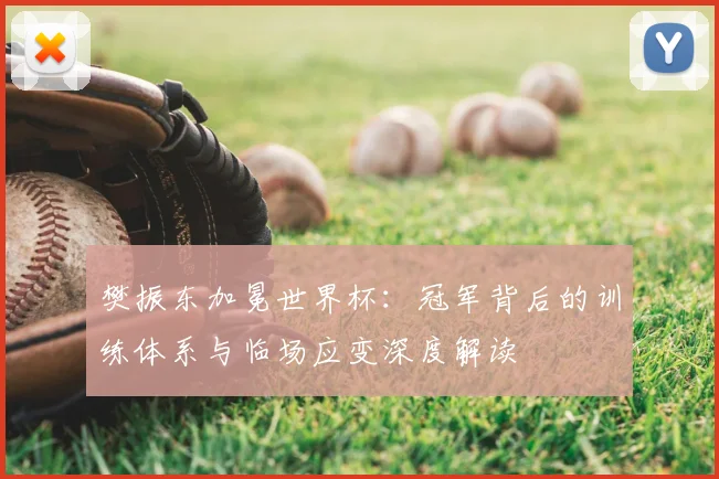 樊振东加冕世界杯：冠军背后的训练体系与临场应变深度解读