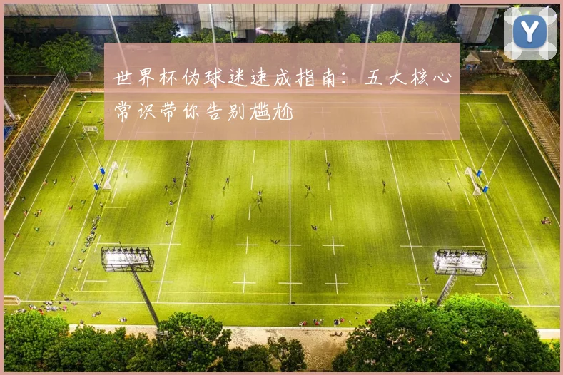 世界杯伪球迷速成指南：五大核心常识带你告别尴尬