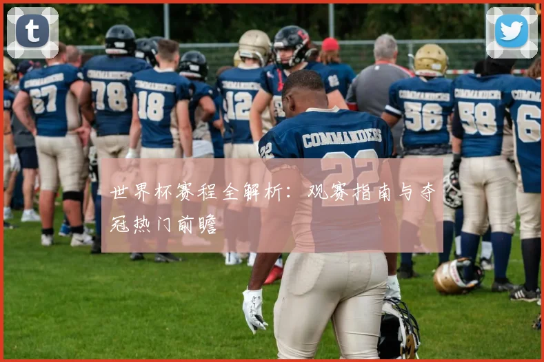 世界杯赛程全解析:观赛指南与夺冠热门前瞻