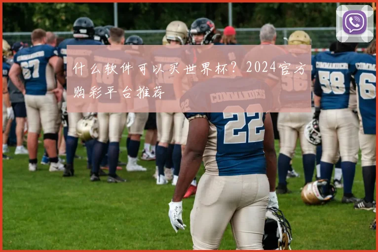什么软件可以买世界杯?2024官方购彩平台推荐