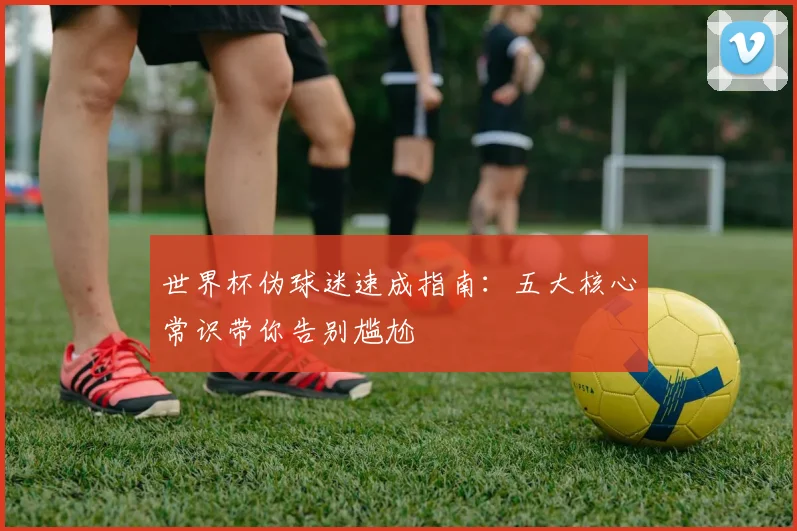 世界杯伪球迷速成指南：五大核心常识带你告别尴尬