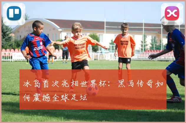 冰岛首次亮相世界杯：黑马传奇如何震撼全球足坛