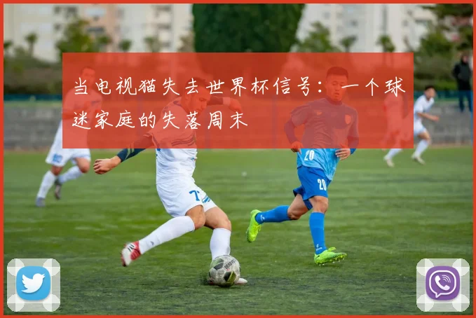 当电视猫失去世界杯信号：一个球迷家庭的失落周末