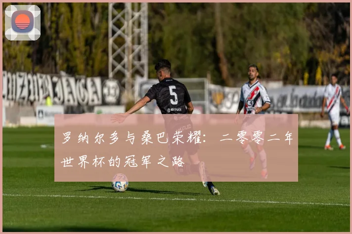 罗纳尔多与桑巴荣耀：二零零二年世界杯的冠军之路