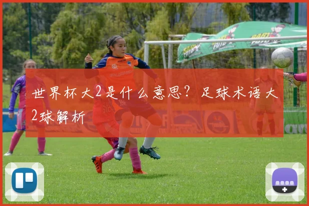世界杯大2是什么意思？足球术语大2球解析