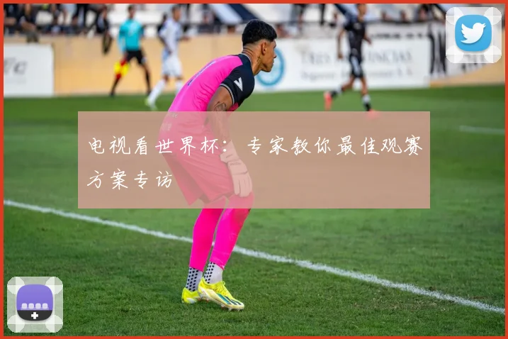 电视看世界杯：专家教你最佳观赛方案专访