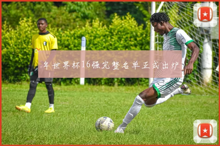年世界杯16强完整名单正式出炉